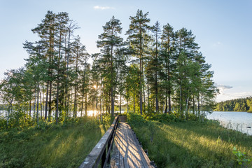 Vacker vandringsled genom Hälsinglands skogar nära Söderhamn